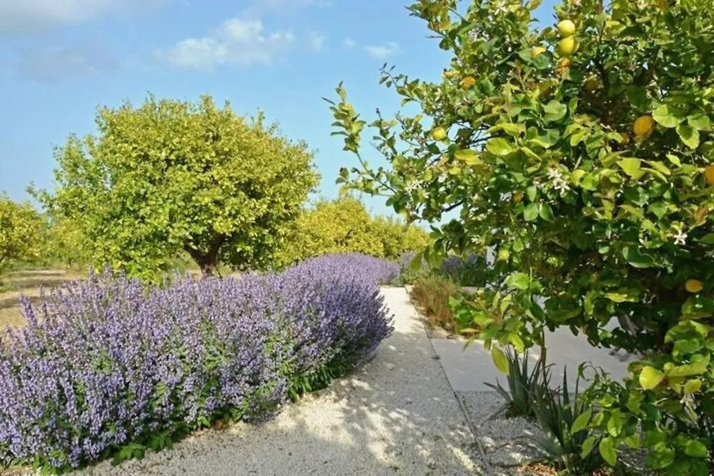 Villa Papeda-Tenuta Il Cavaliere D'Italia Noto-Vista Fronte Mare E Piscina Privata